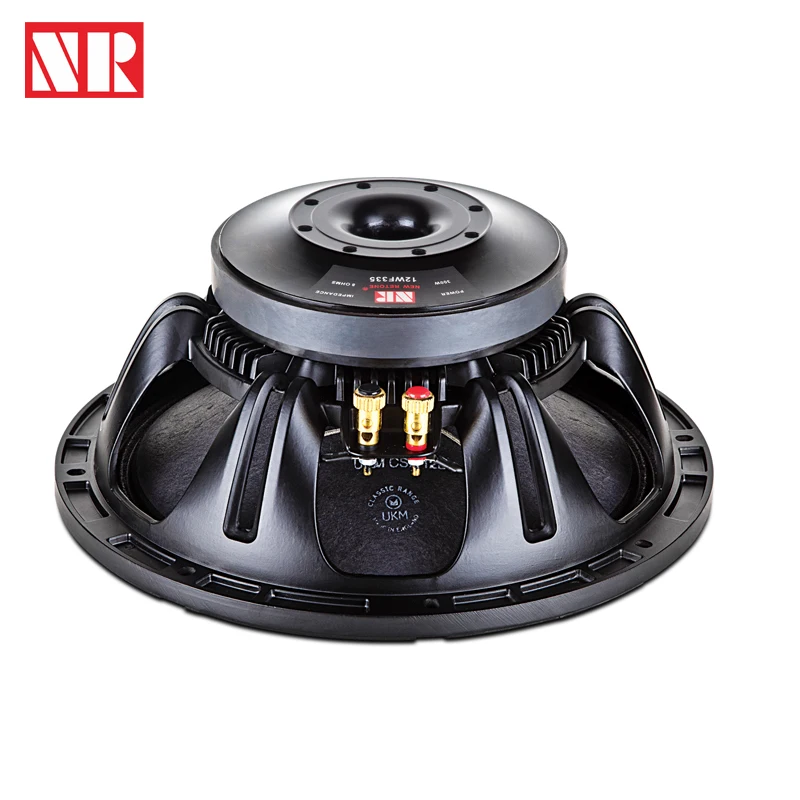 12inch NR Speaker unit suitable for full range and mid-bass good for indoor installation and small outdoor projects