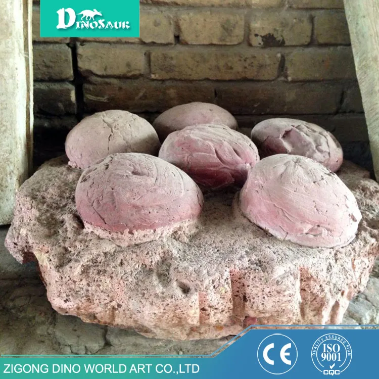 History Exhibits Museum Standard Dinosaur Egg Fossil