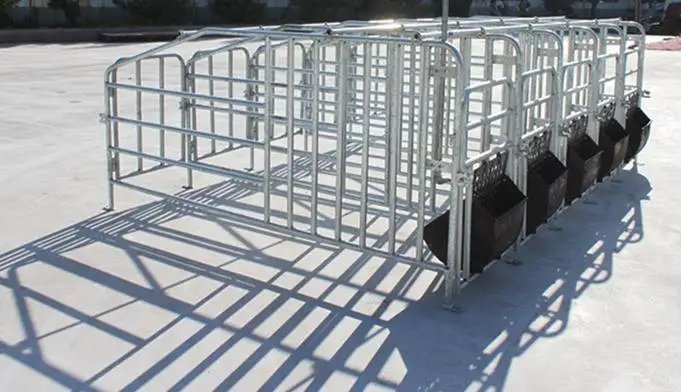 Pig Farming Equipment Steel Hog Pen