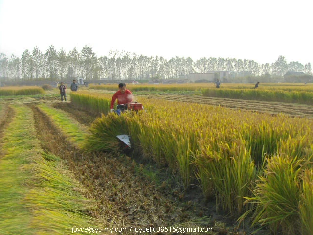 Soybean mini harvester 2 rows