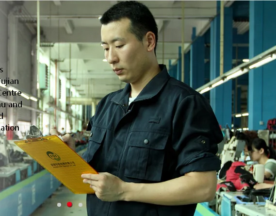 third party inspection service