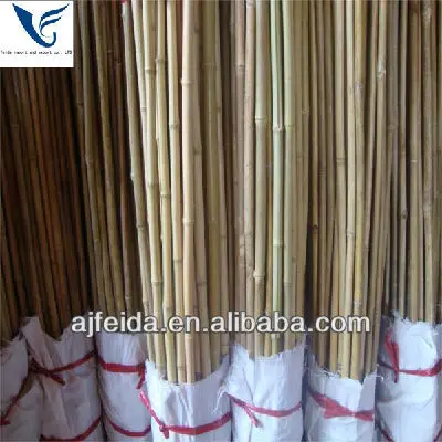 Желтые декоративные бамбуковые палочки tonkin, бамбуковые палочки для поддержки растений