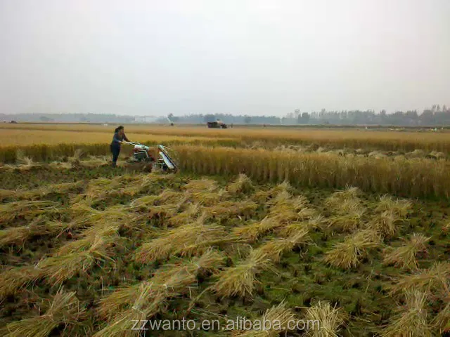 Mini walking tractors uesd harvester wheats paddy reaper binder