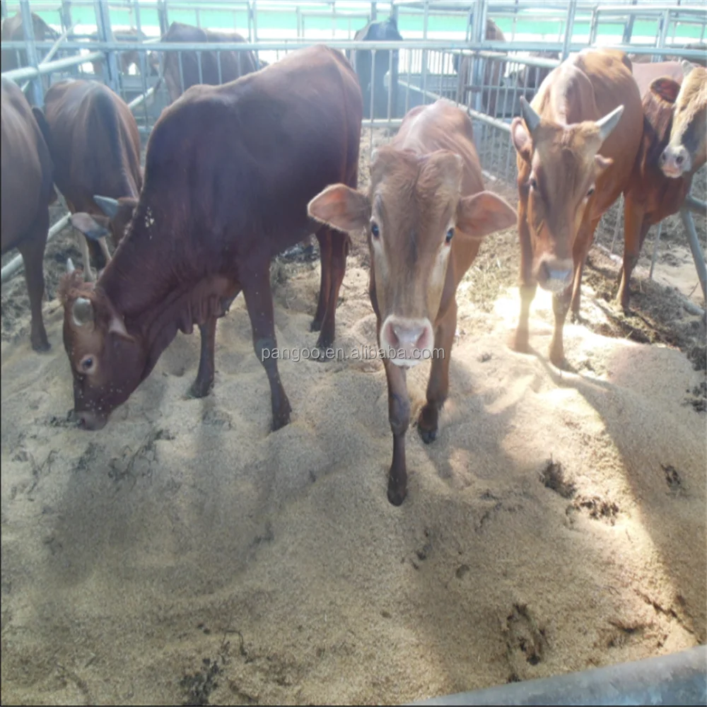 Composting agents for fermentation bed
