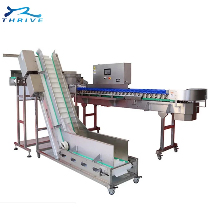 Industrial crawfish lobster sorting machine/meat strip snack grading machine for food factory