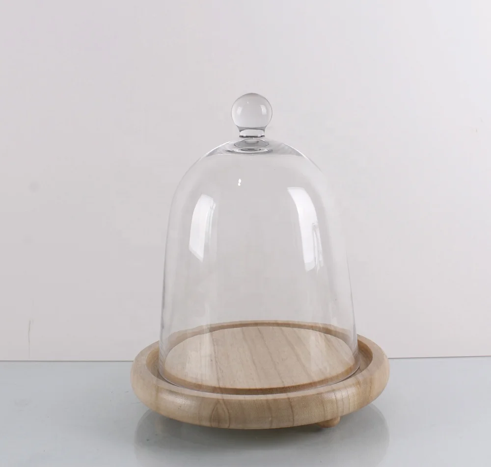 Glass Cloche Bell Jar Plant Terrarium Cloche Opening Bell Jar Glass Display Dome Cloche