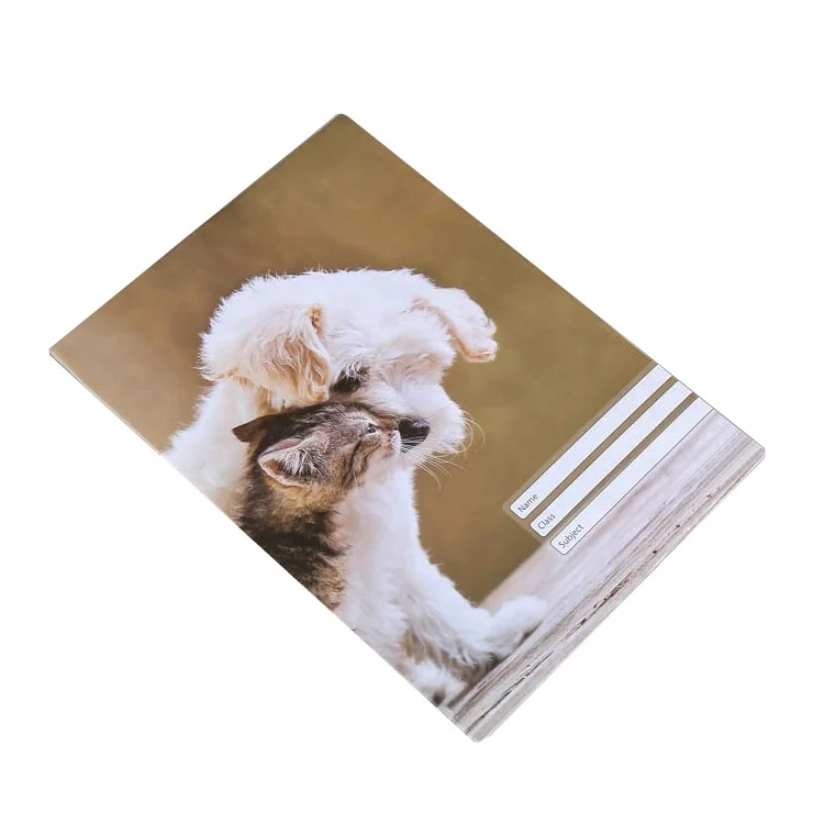 Дешевый виниловый цветной Чехол-книжка из ПВХ для студентов