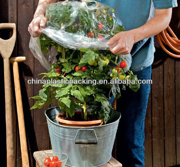 PE Agricultural Tomato tube Green house with holes to protective
