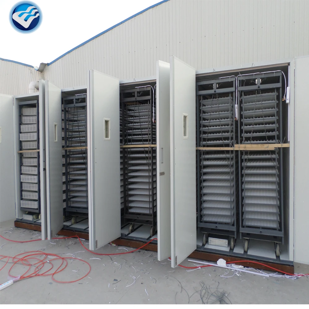 china supply automatic mini 96 egg incubator for sale