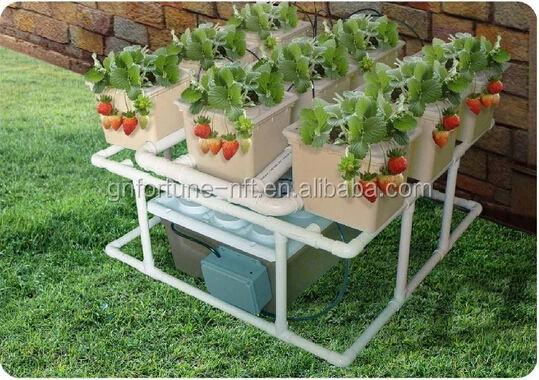 Капельного полива гидропоники системы голландский ковш для клубника