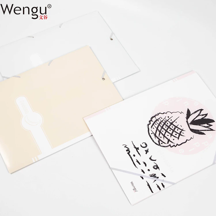 
Office and School Products Hot Sale Waterproof PP High Quality Customized Design A4 Size Double Elastic Folder 