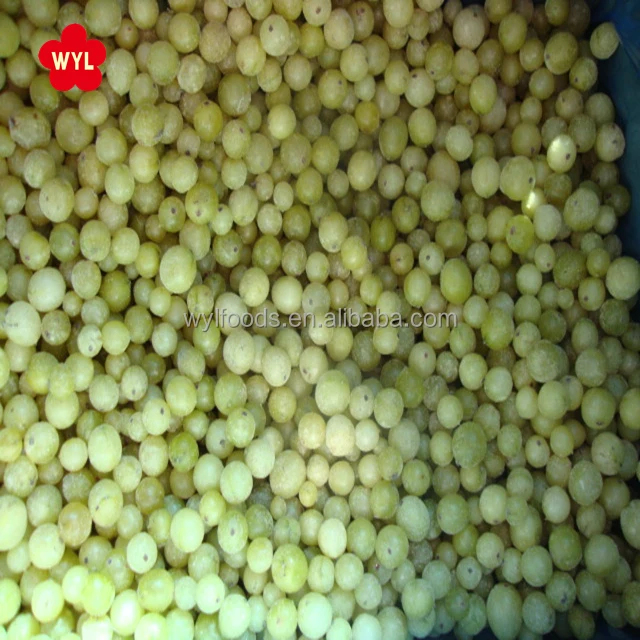 good price iqf frozen gooseberry with frozen fruits