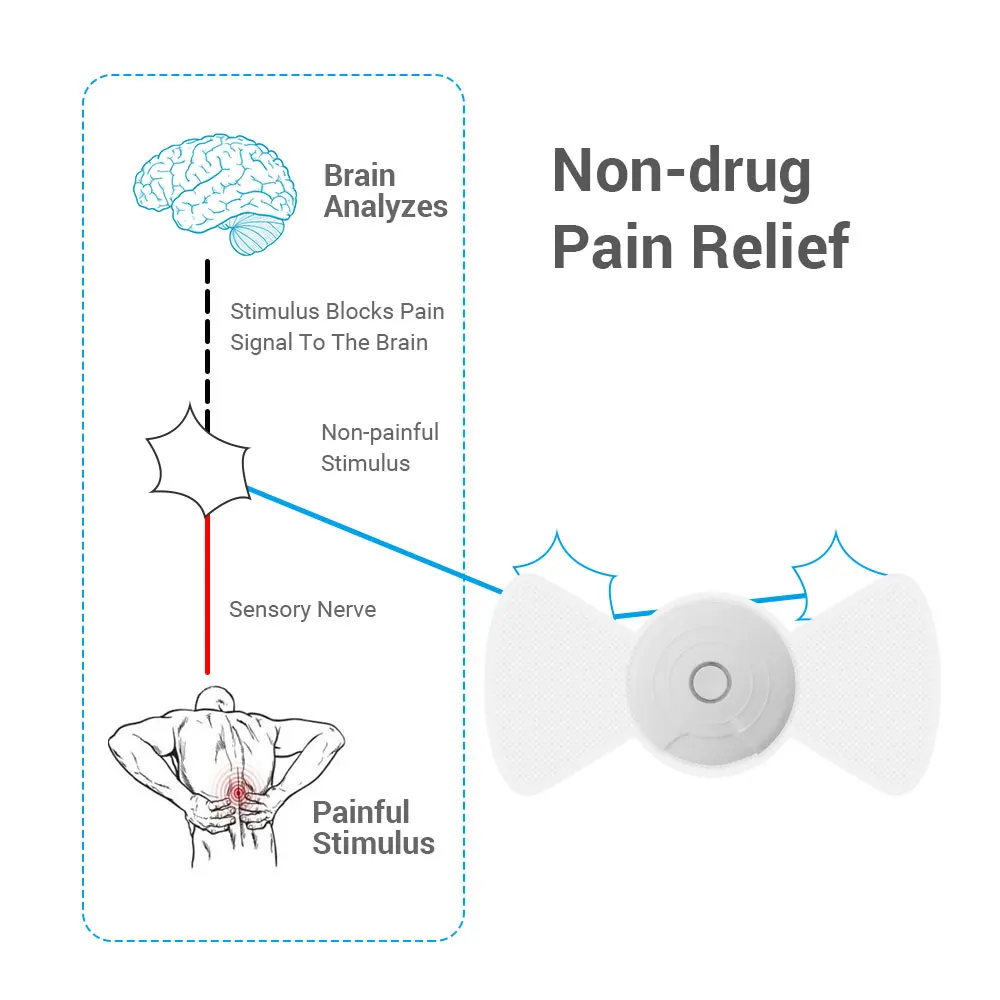 Sunmas APP phone wireless control  back pain relief therapy tens unit massager