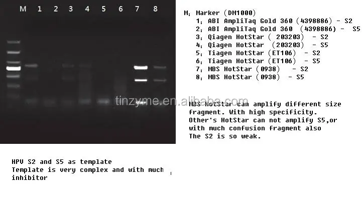 
Chemical modified Hot Start Taq Polymerase bulk pack 