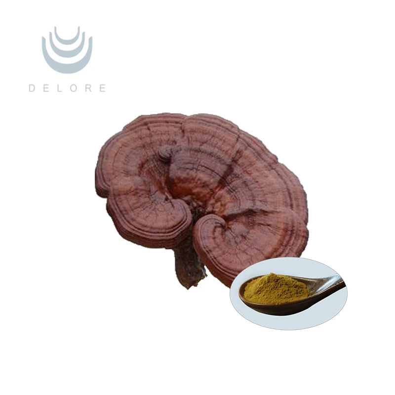 2021 red reishi mushroom extract and coriolus versicolor polysaccharide for health