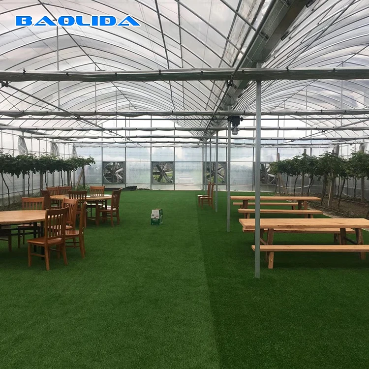 Climate Control System Intelligent High Quality Greenhouse
