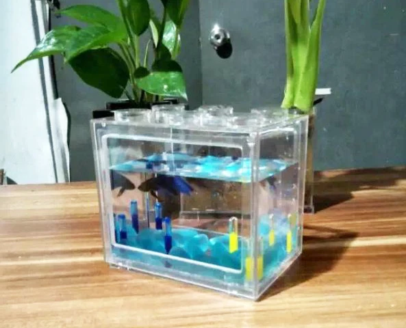 hot sale wholesale Factory price Aquarium tank fish