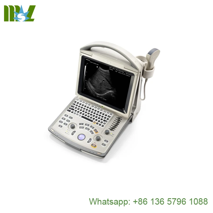 
Mindray dp 30 probe ultrasound/mindray veterinary ultrasound 