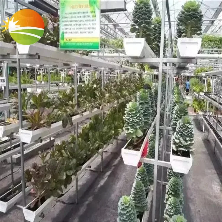 high quality tunnel greenhouse with succulent fleshiness