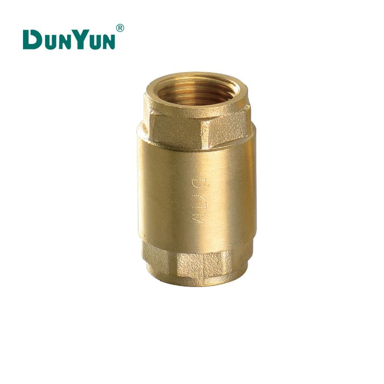 1/2 - 2 Inch Water Vertical Small Spring Flap Brass Check Valve