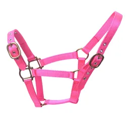 Custom Leather Halter with Super Soft Padding and Embroidery Leather Halter Horse Halter Equestrian Product Bridle Horse