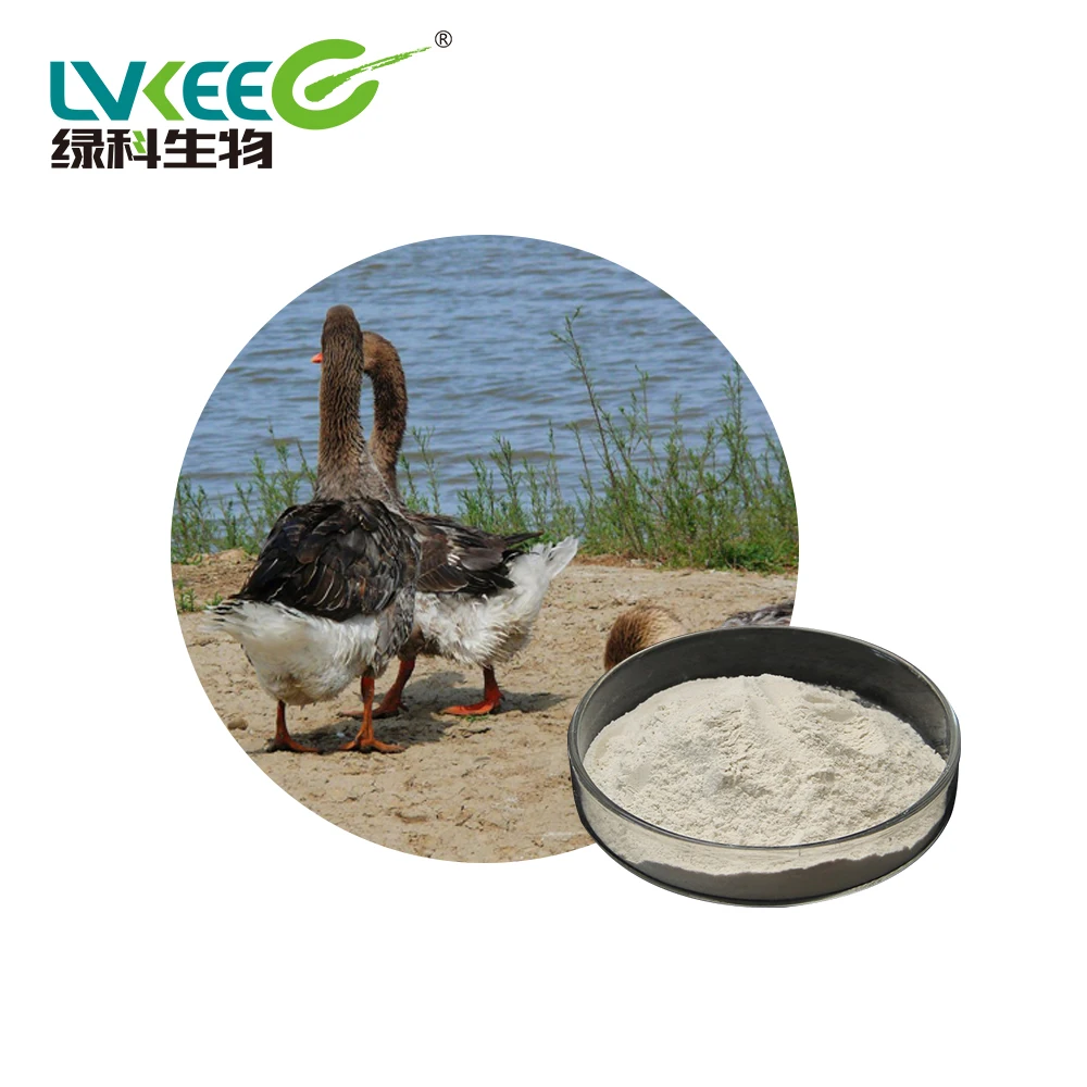 Feed grade Aquaculture Enzyme Bacillus subtilis for Shrimp Fish Farming feed additive