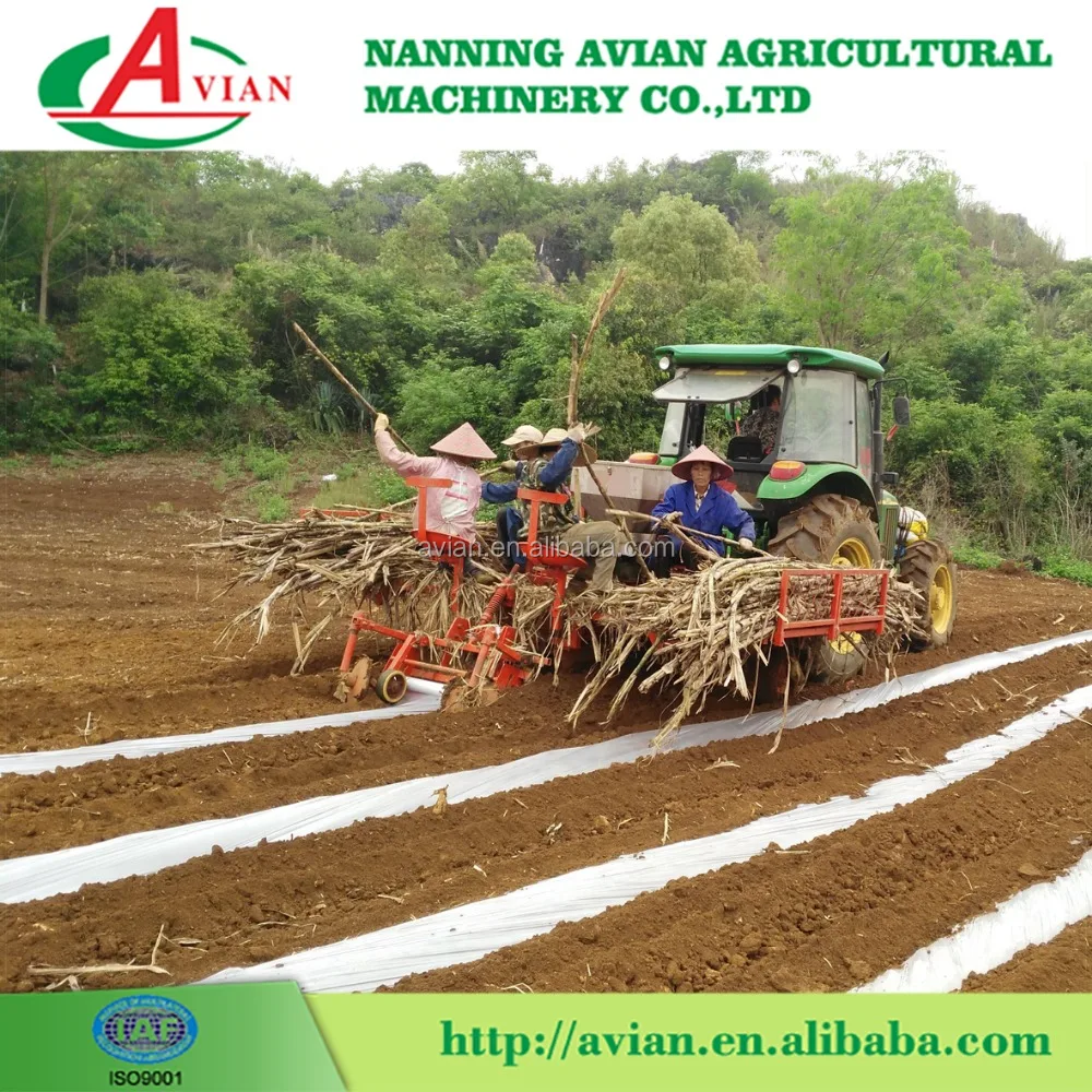 Good Performance Sugarcane Planter / Sugarcane Seed Planter/Sugarcane Planting Machine