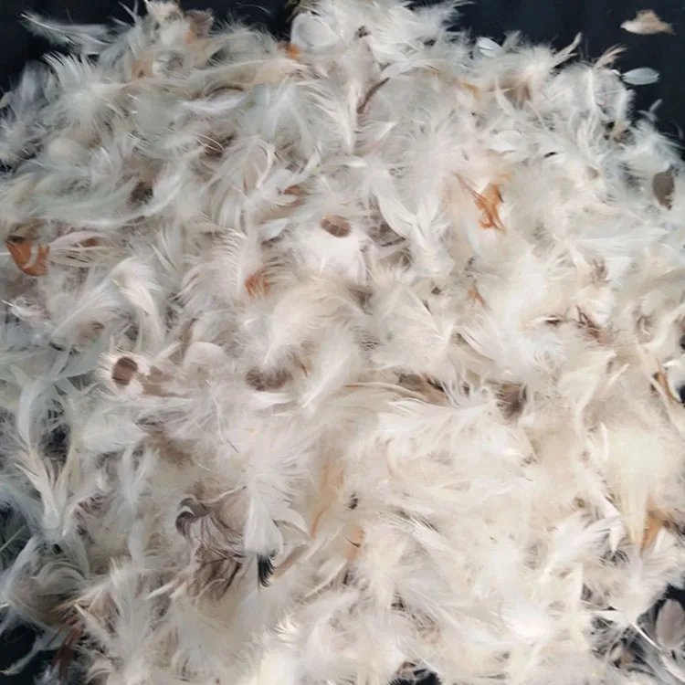 Wholesale high quality white washed duck down feather for sale