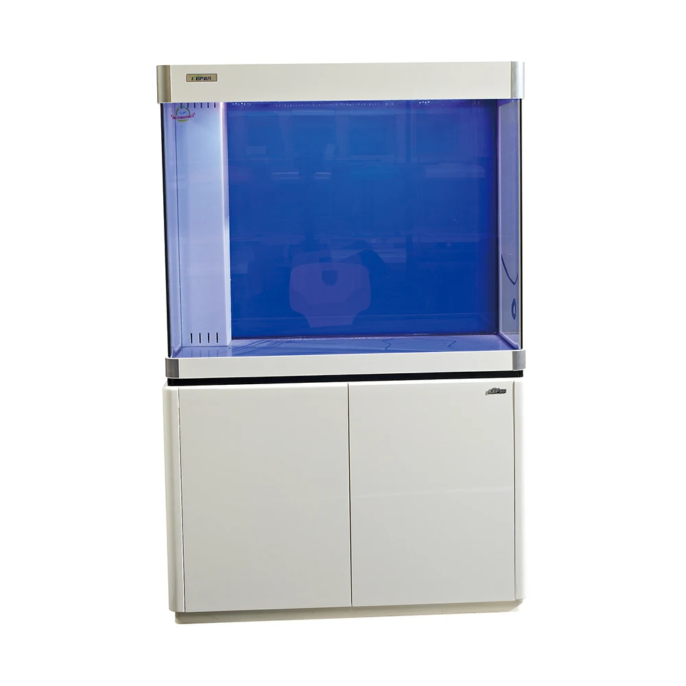 Chinese Supplier Arowana Large Glass Fish Tank