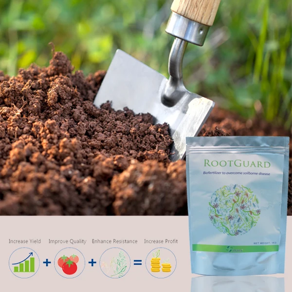 Dora Trichoderma as Mosaic disease, Early blight, Late blight Defender