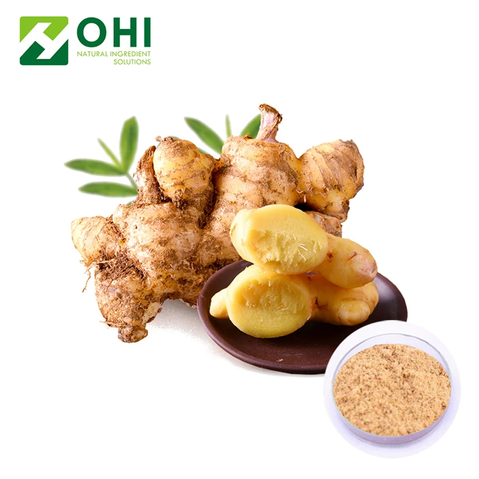 nature Extract ginger powder / organic ginger powder Zingiber officinale 5% Gingerols