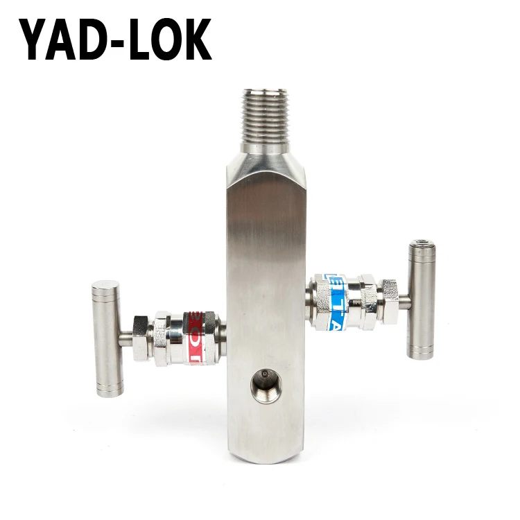
YAD-LOK China Supplier High Pressure 6000Psi Ss304 Air Valve Manifold 2 Ways 