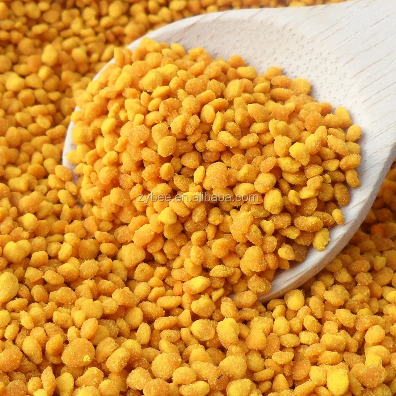 Wholesale Factory Direct Supply Animal Food Material Clean Sweet Rape Bee Pollen