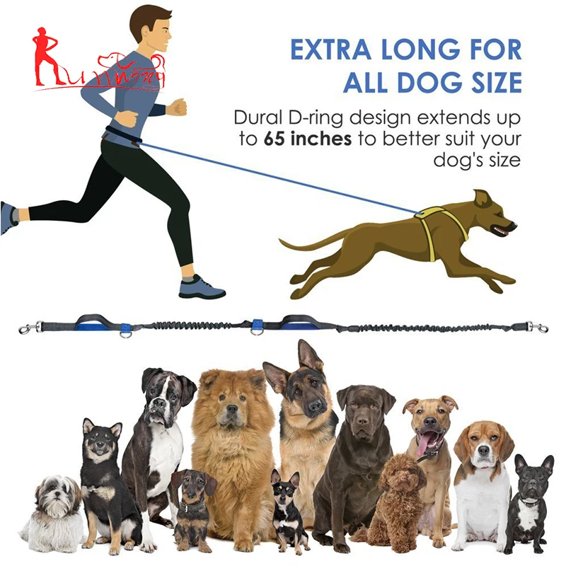 Premium Hands Free Running Lead Dual Bungees with Waist Belt , Training Treat Pouch, Hands Free Dog Leash Set for Walking Hiking