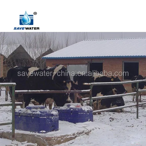 Frost free Auto Drinking Water trough for Livestock farm equipment