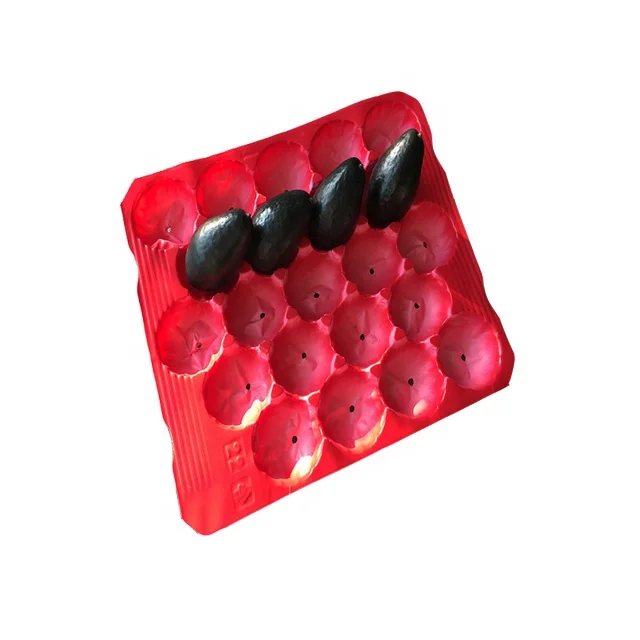 Бесплатный образец упаковки для свежих фруктов, авокадо, пластиковый держатель для чашки, блистерный лоток