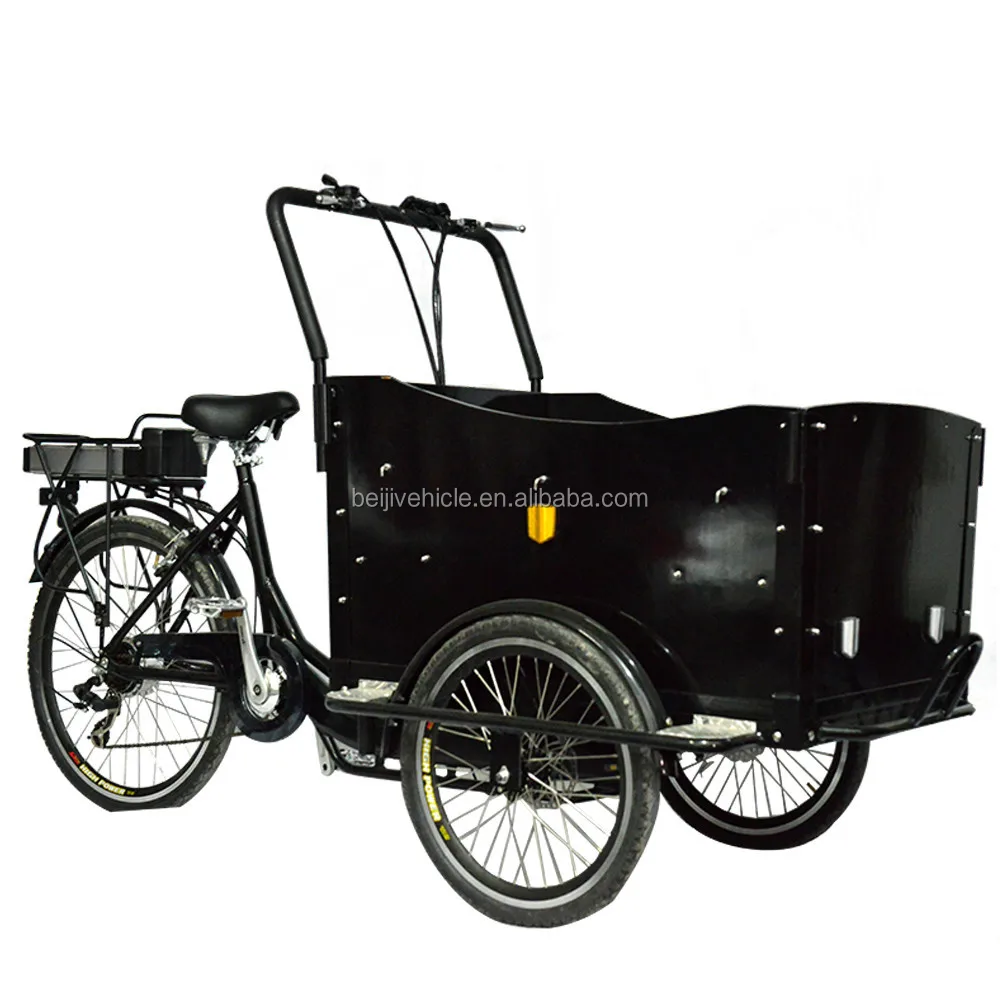 Holland family three-wheeler electric cargo bike price
