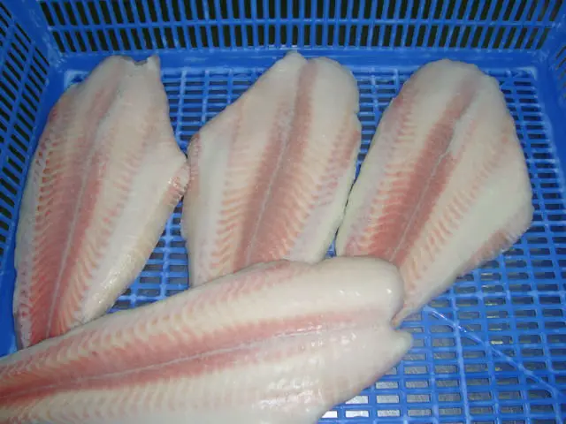 
CAT FISH-PANGASIUS- SWAI FISH 