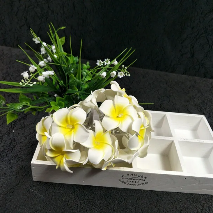 
LED simulation egg series decorated with colorful solar string light 