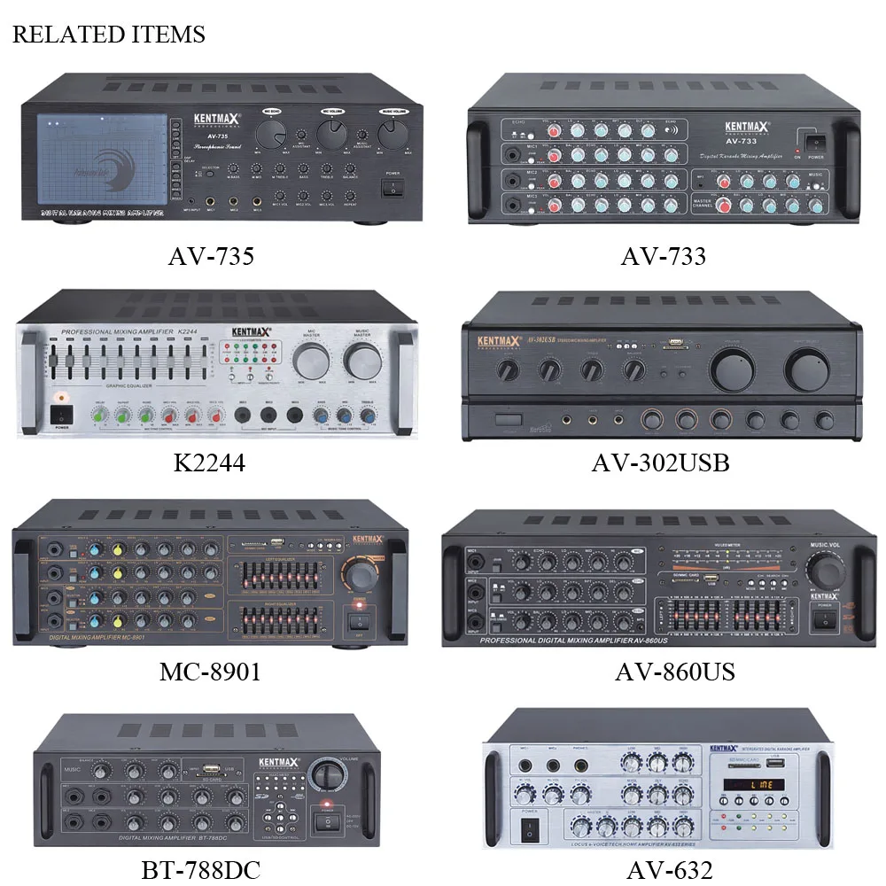 2 Channel 25W Power Audio USB EQ Digital Echo Karaoke Amplificador Amplifier