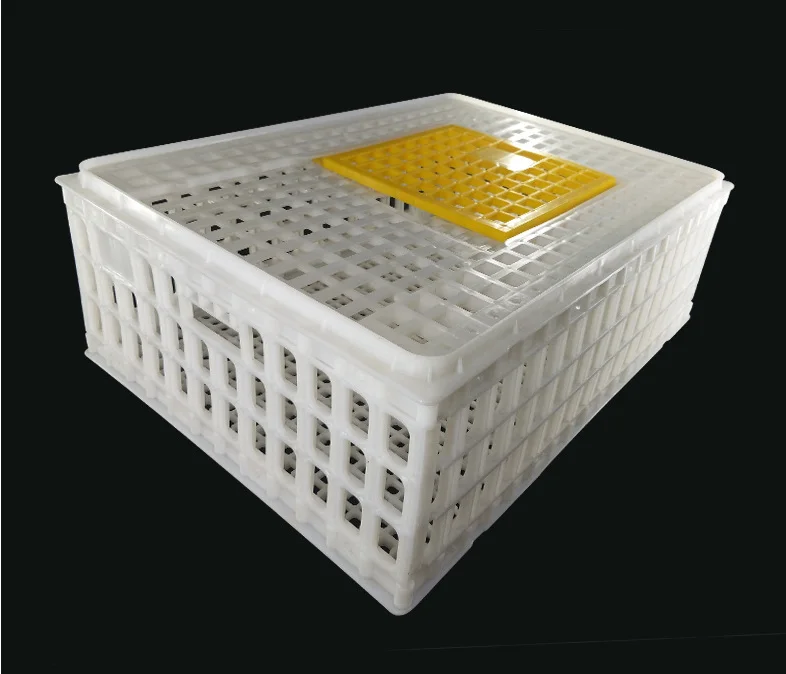 Agricultural plastic crates for chicken transportation crate , live chicken transport cage