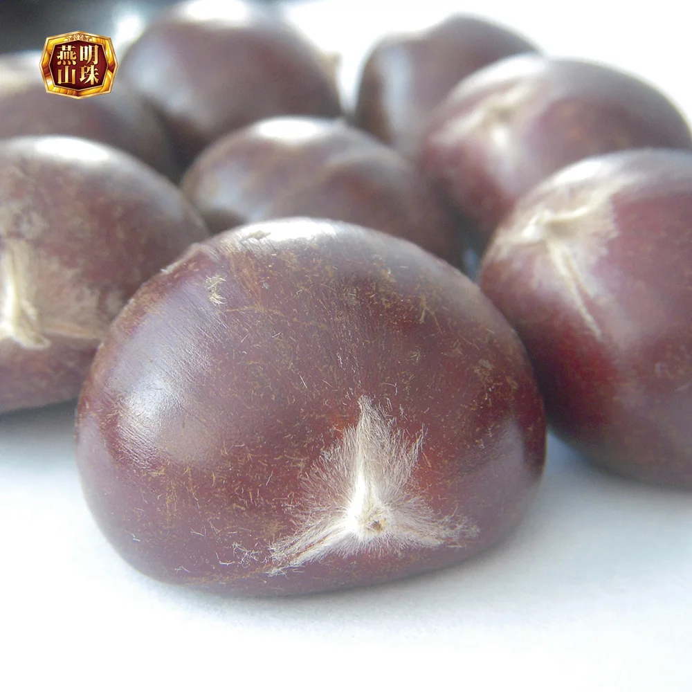 2020 New Crop Yanshan Raw Fresh Chestnut Nuts