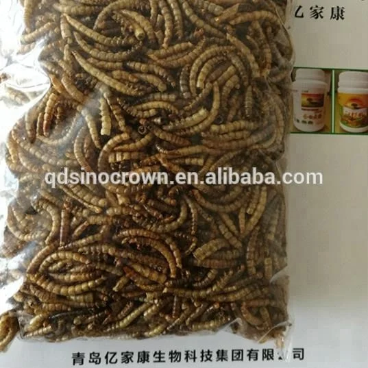 
Dried Mealworms For Poultry Feed Insect Feed Fish Use Mealworms Feed 