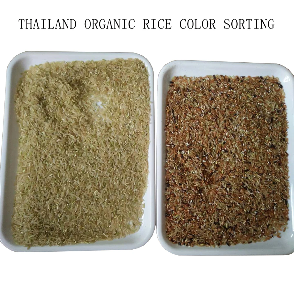 Thailand Rice Seed Grading Machine Paddy Rice Cleaning Machine Organic Rice Grain Grader