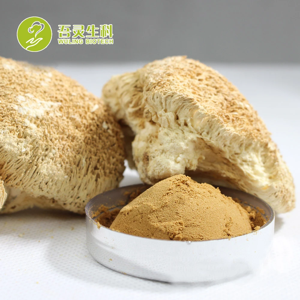 
Best Brain Food Lions Mane Mushroom Extract Powder 