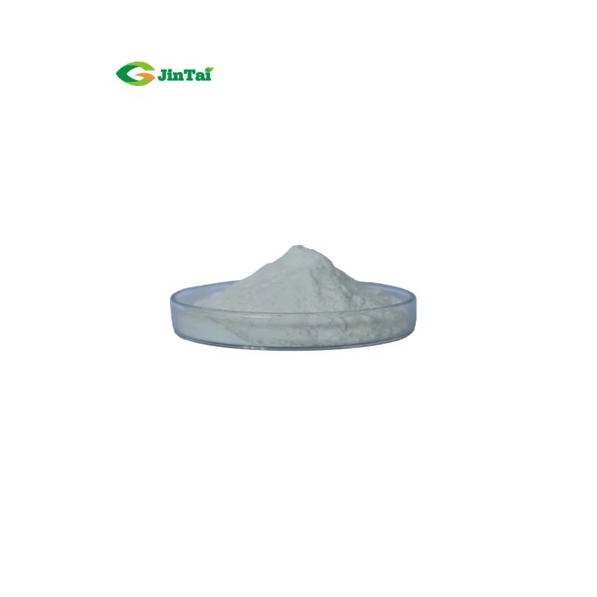 stevia powder stevia extract rebaudiana stevia