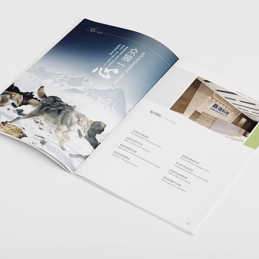 
brochure/catalogue/ flyer printing service 