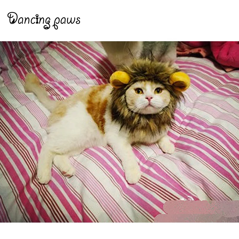Wholesale Cat Lion Panda Mickey Mane Wig Cat Costume Hat Hair Cat Pet Puppy Cosplay Wig