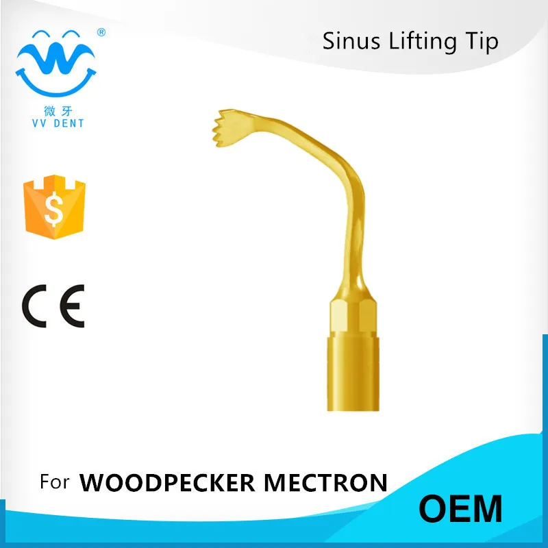 US1L костях кончик dfrental Lab Fit MECTRON PIEZOSURGERY siladent surgybone