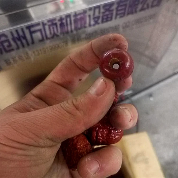 Manufacturer Dates Pitting Machine high integrity automatic removing core for fruit processing